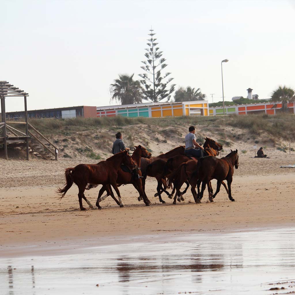 Carving Social Club Surfcamp 26 al 28 de Abril 2024 | Surfcamp en El Palmar