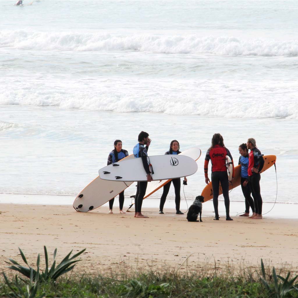 Carving Social Club Clase Surf Clase Grupal de Surf | Playa El Palmar